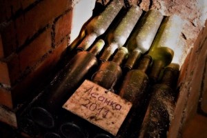 Тур Винний шлях Закарпаття: дегустація вина в Старому підвалі, Берегово